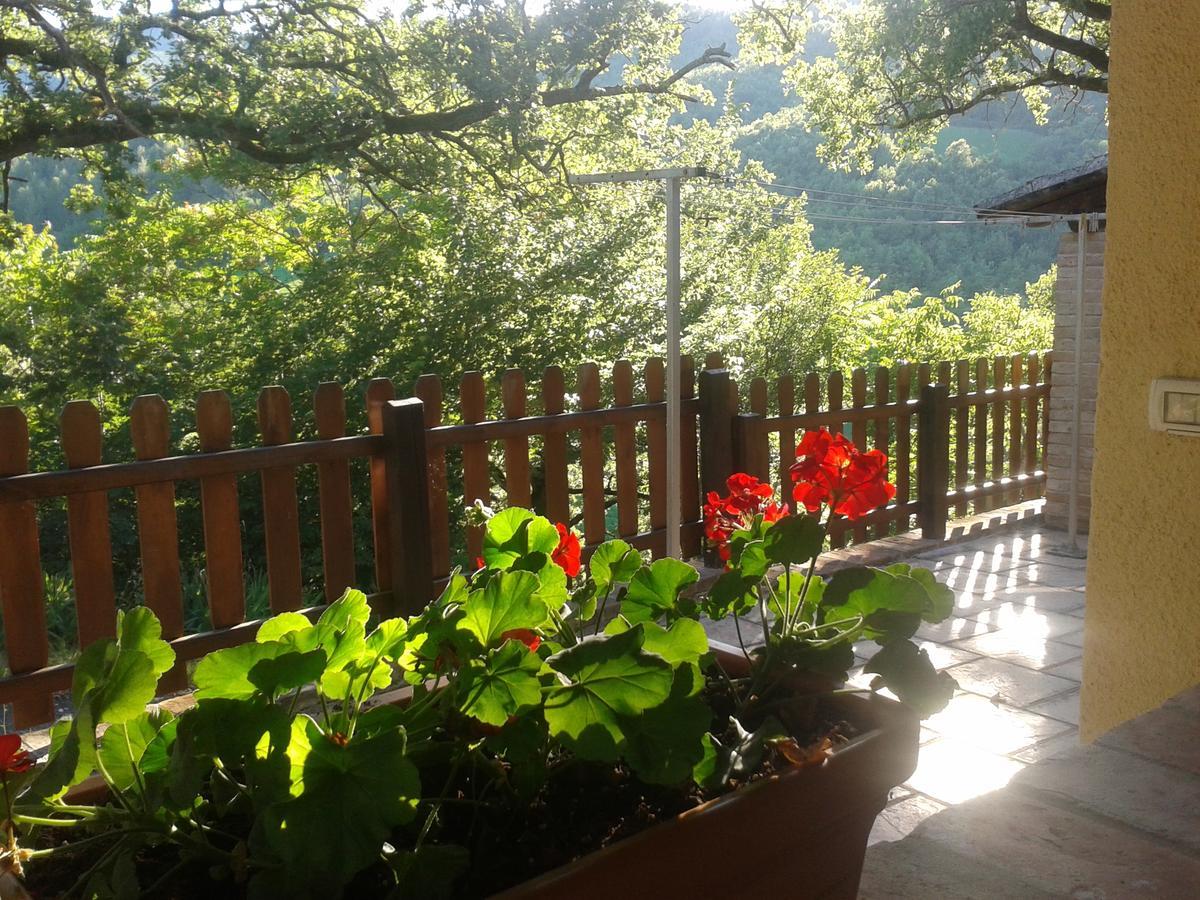 Agriturismo Orsaiola Urbania Eksteriør bilde