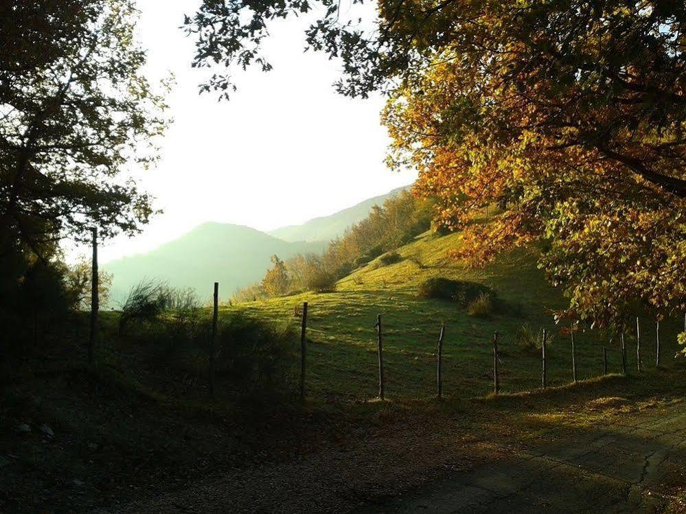 Agriturismo Orsaiola Urbania Eksteriør bilde